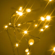 Ikonka Art.KX5253 LED decorative wire lights 10m 100LED warm white