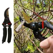 Ikonka Art.KX4713 Garden pruning shears hand pruning shears for flower plants