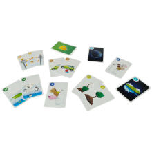 Ikonka Art.KX4752_1 MUDUKO Game Edu Peter True or False Playing cards 4+