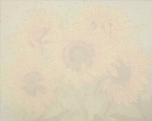 Ikonka Art.KX4497_3 Gleznošana pēc skaitļiem 40x50cm saulespuķes