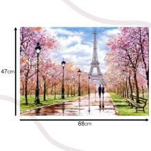Ikonka Art.KX4739 CASTORLAND Puzzle 1000 elementu Romantiska pastaiga Parīzē 68x47cm