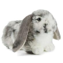 Keycraft Living Nature Dutch Lop Eared Rabbit Art.AN316G Grey Plush toy