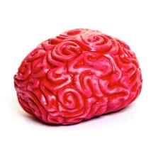 Keycraft Squidgy Brain Art.NV459 Antistress toy