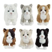 Keycraft Living Nature Cat Small Assorted Art.AN147 Plush toy