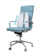 Homedics ER-BS200H Back Support Cushion with Cover + Heat