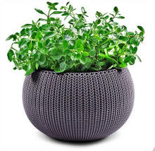 Puķu pods karināms Cozy M With Hanging Set violets