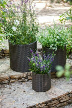 Puķu podu komplekts Cylinder Planters S+M+L brūns