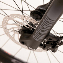 Carbon Kalnu velosipēds Rock Machine 29 Blizz CRB 30-29 Gloss Sarkans (Rata izmērs: 29 Rāmja izmērs: L)