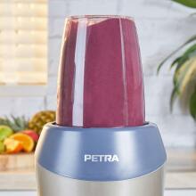 Petra PT2002V4SILVERVDEEU7 Nutrimax 1000W silver