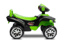 RIDE-ON PUSH CAR MINI RAPTOR GREEN
