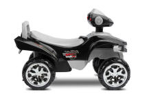 RIDE-ON PUSH CAR MINI RAPTOR GREY