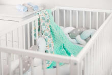 Light Minky Blanket - Hedgehogs mint 75x100