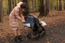 Stroller organizer – grey cranes