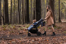 Stroller organizer – pink cranes