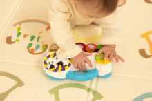 EDUCATIONAL TOY - FARM PIANO