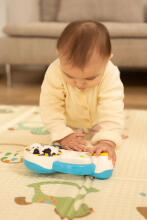 EDUCATIONAL TOY - FARM PIANO