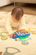 EDUCATIONAL TOY - MUSICAL FISH