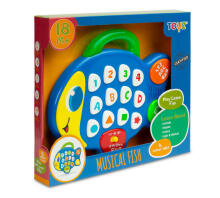 EDUCATIONAL TOY - MUSICAL FISH