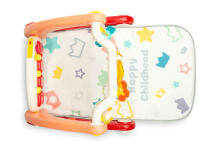 2IN1 WALKER WITH MUSIC MAT PINK