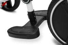 TRICYCLE DASH MONSTERA