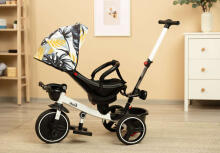 TRICYCLE DASH MONSTERA