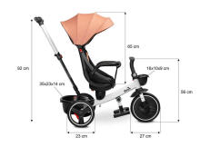 TRICYCLE DASH MONSTERA