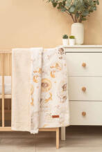 BLANKET PLUSH DREAM 80x100