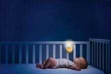 170852 BEAR LIGHTING RATTLE