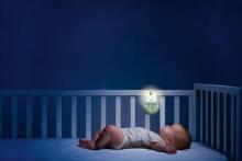 170869 OWL LIGHTING RATTLE