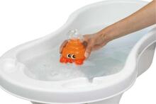 173549 OCTOPUS AND BATH CRAB