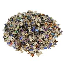 Ikonka Art.KX3698 CASTORLAND Puzzle 1500el. Wolf's Night