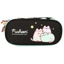Ikonka Art.KX3765_1 Pusheen pastel flap sachet pencil case