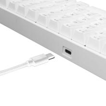 White Shark GK-2022 Shinobi Brown Switch, White US