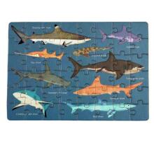 Sharks Matchbox Puzzle, Rex London
