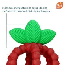 Silicone teether, Juicy Raspberry with leaves, pink, RaZbaby