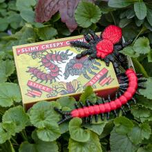 Slimy Creepy Crawlies In A Box, Rex London