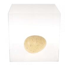 Prehistoric Land Giant Hatching Dinosaur Egg,  Rex London