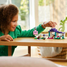 LEGO® Minecraft™ набор "Приют для животных", Арт. 21253