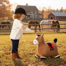 Toi Toys Horse Art.B-2595 Детский прыгунок