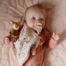 Little Dutch Cuddle Cloth Garden Art.9027