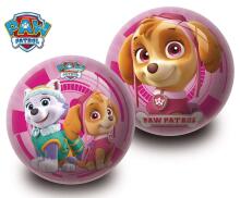 Smoby Art.2546S  Rubber ball Paw Patrol 23cm
