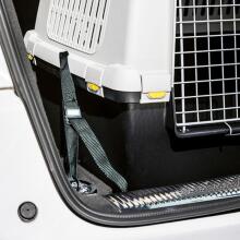 Seat belts for the car 3 pcs. for transport cage Gulliver Touring