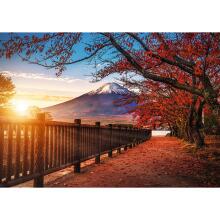 TREFL Premium Plus Пазл Mount Fuji, 1000 шт.