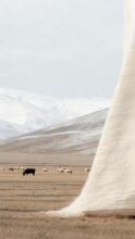 La bebe™ Merinos New Zeland  Art.213979 Merino wool blanket 65x90cm