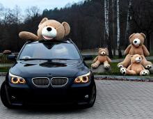 Teddy Bear Plush Toys Art.214717