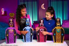 Monster High saladuskapi üllatusnukk Draculaura