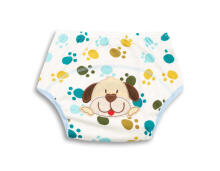 EMBROIDERED TRAINING PANTIES BOY PACK OF 3