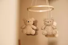 Jollein  Baby Mobile Teddy Bear Wild Art.116-001-68065 Green Naturel
