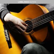 Guitar Strings Classical Guitar Nylon Strings Art.223271 6 strings