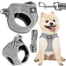 Pressure-free dog and cat harness set Springos PA0238, L 14-20 kg + 150 cm leash, grey